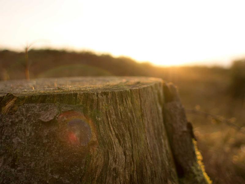 sudoku touch controls screenshot 1